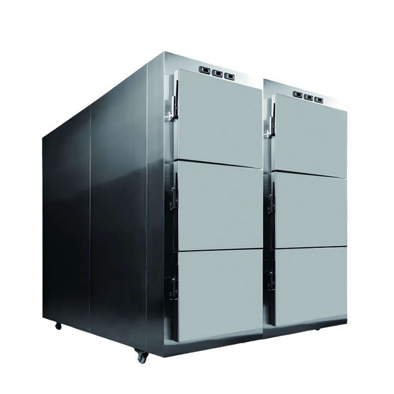 Body Cooler‌ LAB-BC06A