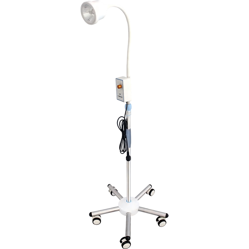 Examining Light OR-EL04